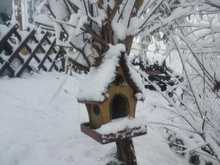Căsuța din CRAI - Zărneşti - 9