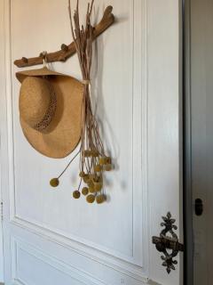 Le logis blanc bed&breakfast - Coursan - 3