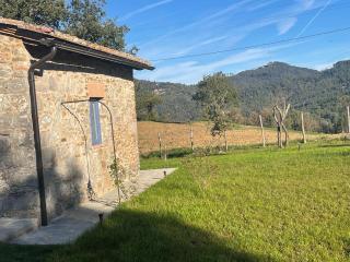 Villa AltoGiardino Chianti Senese - Rosennano - 7