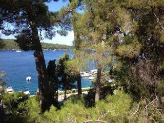 Apartments Pero - Mali Lošinj - 1