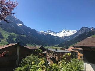 Apartment Haldematt by Interhome - Adelboden - 7