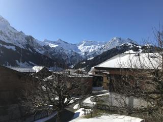 Apartment Haldematt by Interhome - Adelboden - 5