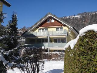 Apartment Bellevue-Park B 138 by Interhome - Engelberg - 0