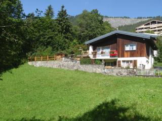 Apartment Schwalbe by Interhome - Adelboden - 0