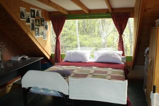 USHUAIA VALLE de ANDORRA CARDOS y MAICES - 4