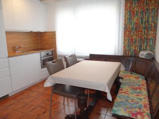 Apartment Birkenstrasse 52 Wohnung 2 by Interhome - Engelberg - 2
