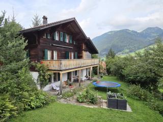 Apartment Hübeli - Kopp by Interhome - 0