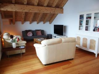 Apartment Fellenrüti 81 by Interhome - Engelberg - 4