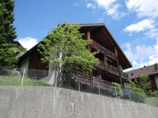 Apartment Fellenrüti 81 by Interhome - Engelberg - 7