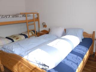 Apartment Calanques by Interhome - Adelboden - 4
