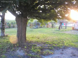 gite de charme au milieu des vignes - Massugas - 8