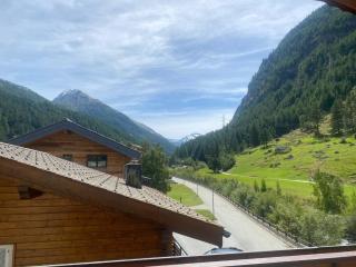 Apartment Alpin Smile by Interhome - Saas-Almagell - 2