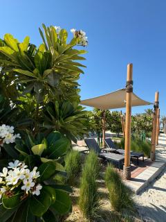 Address Residence Beach Resort - Marassi Al Bahrain - Al Muharraq - 5