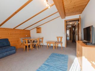 Apartment Wildkogel 1 by Interhome - Neukirchen am Großvenediger - 1