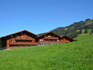 Apartment Mireille Nr- 3 by Interhome - Schönried - 8