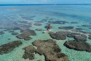 Appt PlanchAlizé - lagon centre ville La Saline - 0