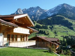Apartment Mühleport 1 by Interhome - Adelboden - 8