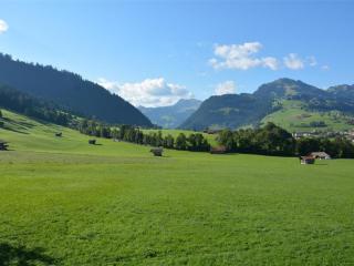 Apartment Alpha by Interhome - Zweisimmen - 5