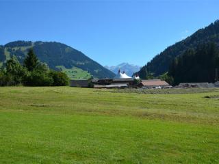 Apartment Jacqueline 21 by Interhome - Gstaad - 6