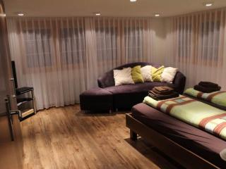 Apartment Mier Gfallt's by Interhome - Saas-Fee - 6
