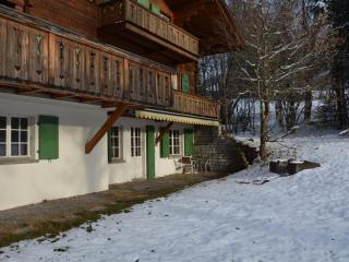 Apartment Les Erables- Chalet by Interhome - Gstaad - 8
