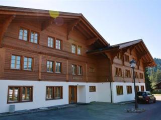 Apartment Jacqueline 21 by Interhome - Gstaad - 7