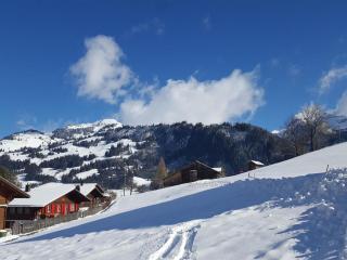 Apartment Burkhalter by Interhome - Zweisimmen - 7