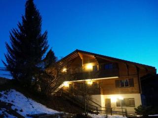 Apartment Halten by Interhome - Zweisimmen - 8