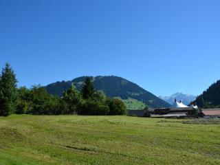 Apartment Jacqueline 2 by Interhome - Gstaad - 5