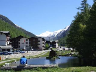 Apartment Chalet Alpenrösli by Interhome - Saas-Almagell - 6