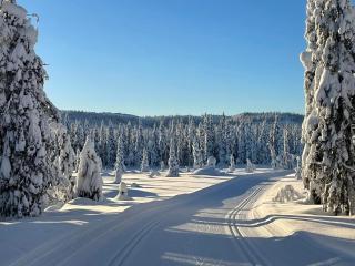 Cozy cottage in Skeikampen - close to Hafjell! - Svingvoll - 6