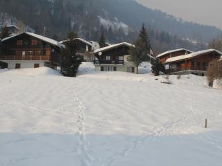 Apartment Adele by Interhome - Fiesch - 3
