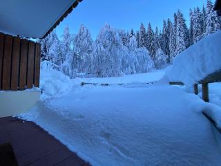 Cocooning apartment- 2 personnes - FR-1-198-221 - Châtel - 5