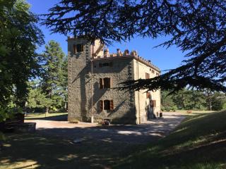 Castello La dogana - Villa Dogana - 2