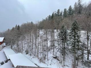 Apartman 26, Apartmanovy dom Romantika, Trangoska, Chopok Juh - 1