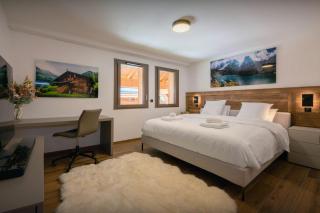 Penthouse Barbossine - OVO Network - Châtel - 3