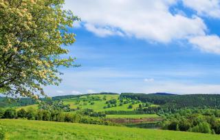 Ferienwohnung Neuhausen - Neuhausen - 5