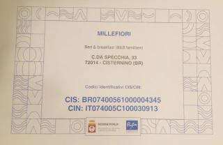 AlCOVA REALE Apartment and organic honey Cisternino cda specchia 33 - 7