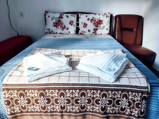 Minha casa em Botucatu suite individual - Botucatu - 1