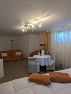 Apartments in Vienna suburbs - 40 min from Vienna city center - 3