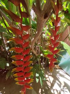 Barbie home - Cancún - 2