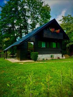 Apartma Dobnik - Mozirje - 0