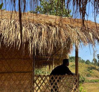 Mridu Jungle Camp - - 8