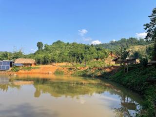 Mridu Jungle Camp - - 9
