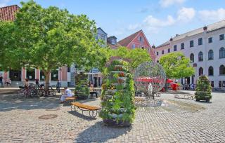 Ferienwohnung Waren Müritz - 4