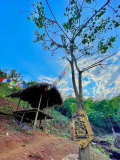 Mridu Jungle Camp - - 4