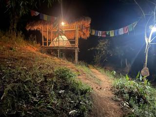 Mridu Jungle Camp - - 7