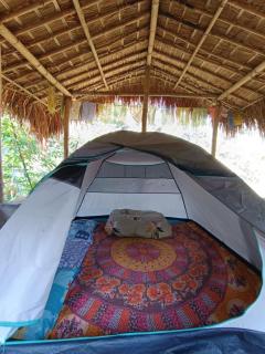 Mridu Jungle Camp - - 6