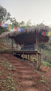 Mridu Jungle Camp - - 5