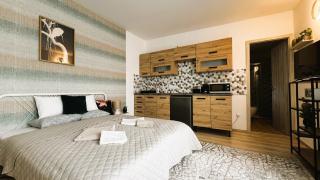 Westend Lofts Charming Nest - Budapest - 8